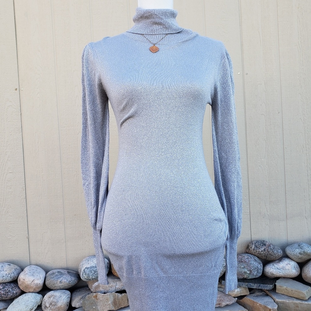 Turtle neck silver sweater dress